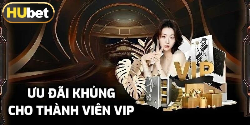 Khuyến mãi độc quyền chỉ cho thành viên VIP