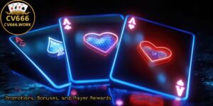 Promotions-Bonuses-and-Player-Rewards